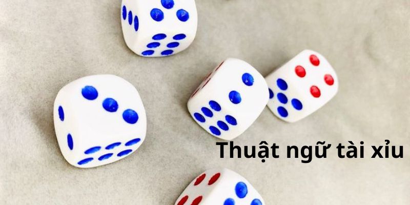 Thuật ngữ cần nắm khi chơi tài xỉu